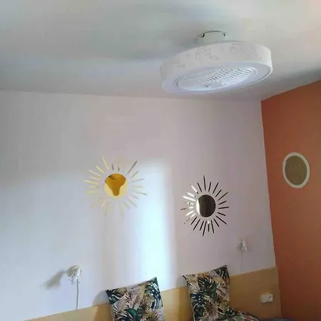 Confortable A Piscine Partagee 27 M² * Linguizzetta