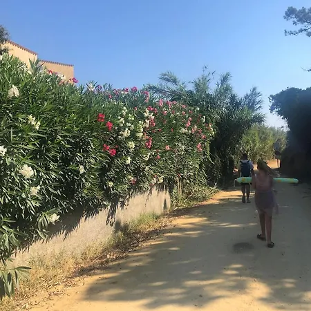 Confortable A Piscine Partagee 27 M² Linguizzetta