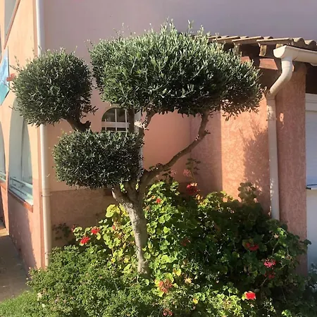 Apartment Confortable A Piscine Partagee 27 M² *